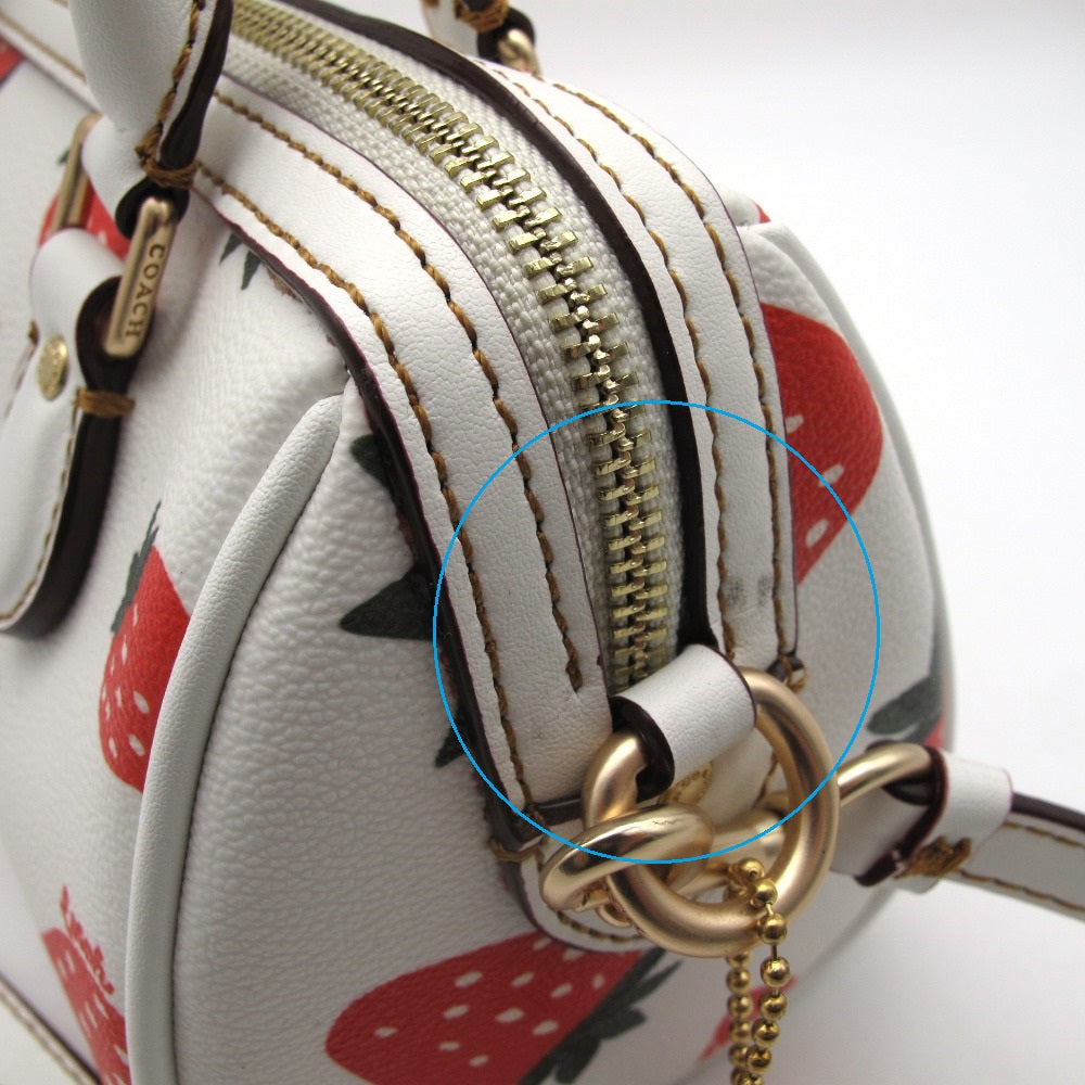 COACH コーチ ミニ アーロン クロスボディ ワイルドストロベリープリント 2WAY ショルダーバッグ ミニボストン 斜め掛け ポシェット CH161 イチゴ柄 チョークマルチ レディース