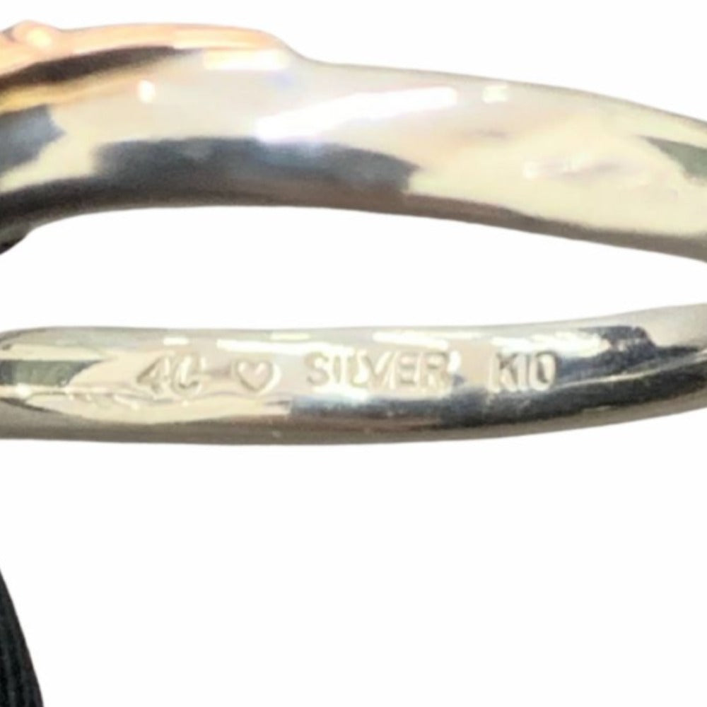 セレブール福井エルパプラス